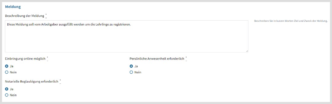 Meldung Beschreibung